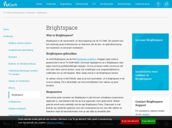 Brightspace - TU Delft